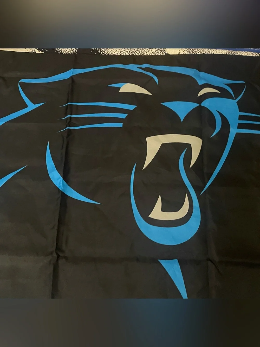 Carolina Panthers Allegiance 2-sided 3’x 5’ Flag/ Banner Football NEW